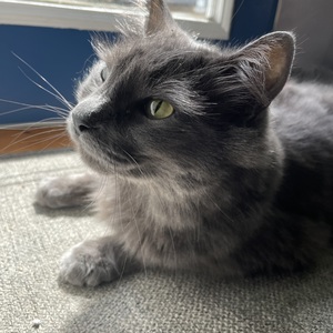 Fundraising Page: Cassandra Hamilton